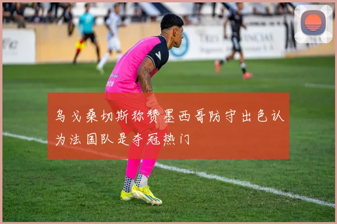 乌戈桑切斯称赞墨西哥防守出色认为法国队是夺冠热门