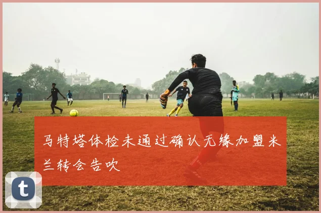 马特塔体检未通过确认无缘加盟米兰转会告吹